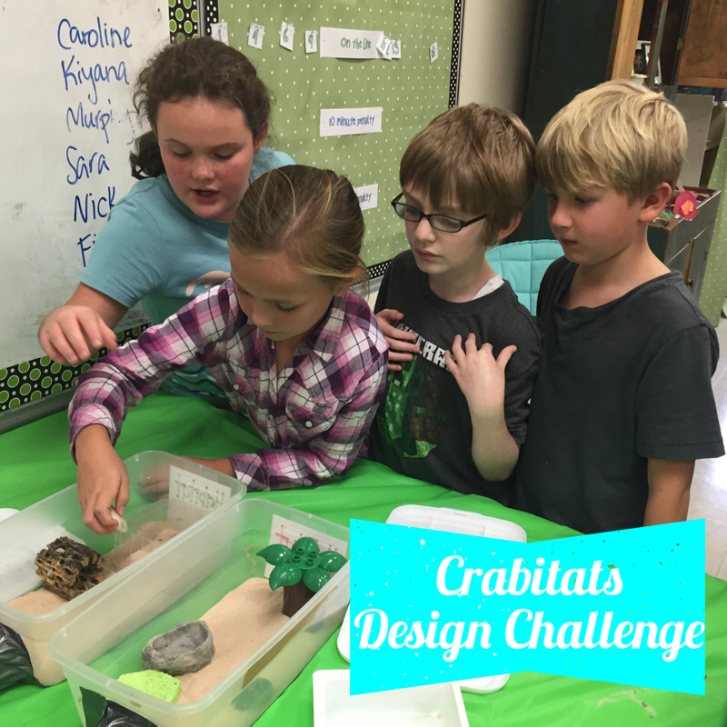 Crabitats Design Challenge
