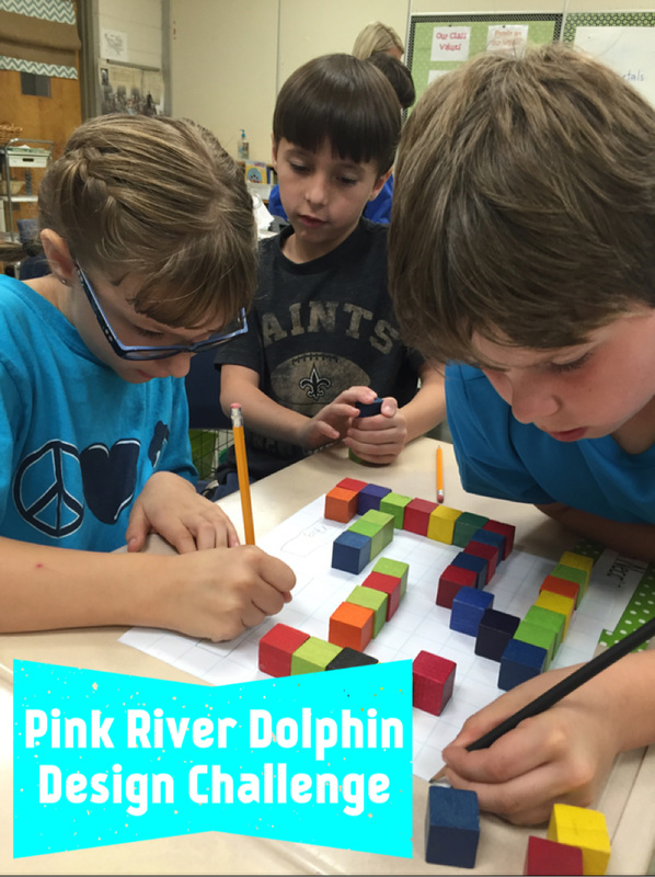 Pink River Dolphin Design Challenge