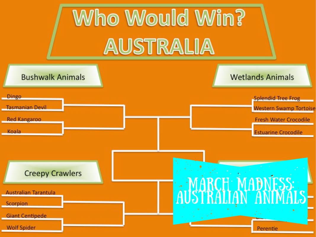 March Madness: Australian Animals